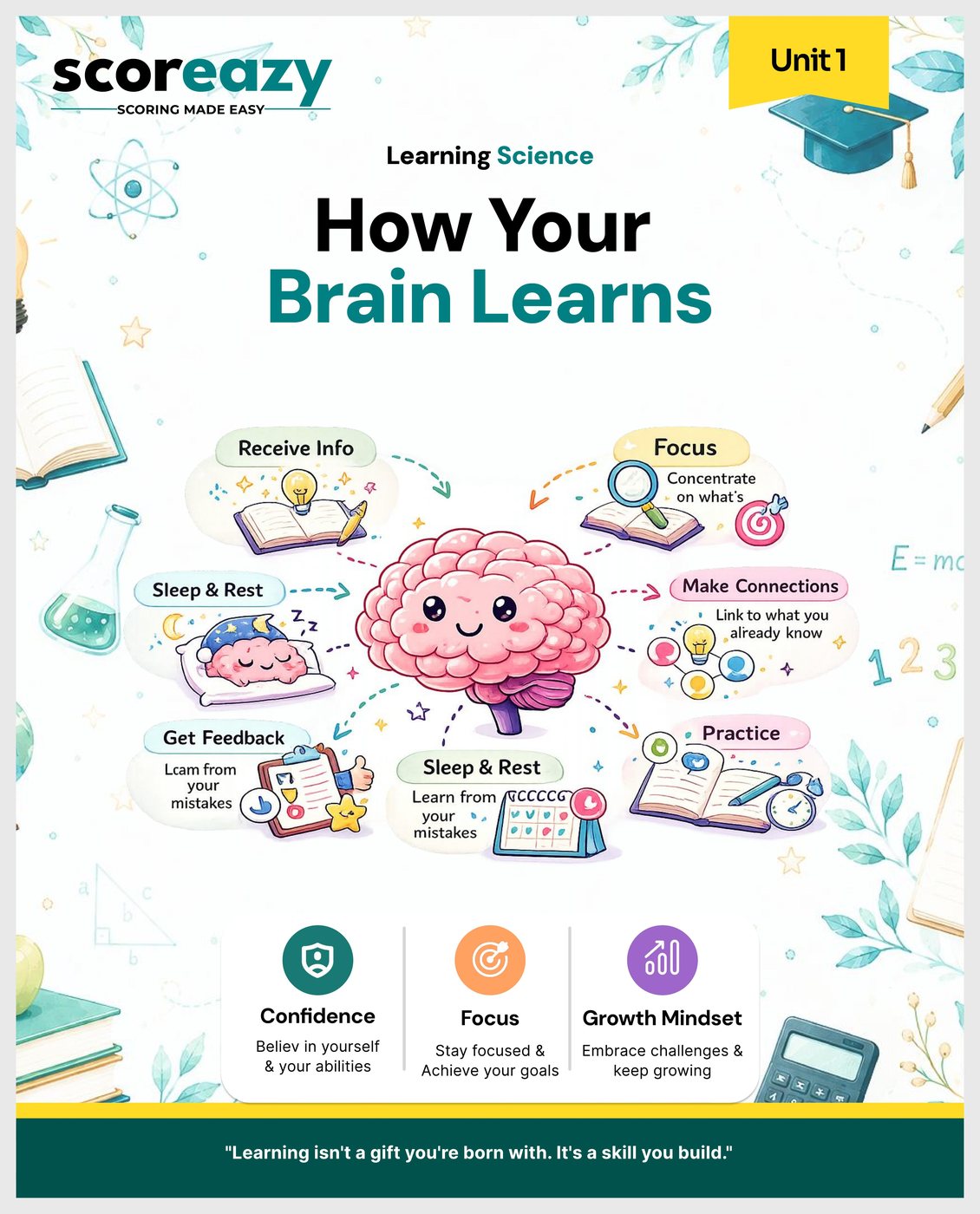 Scoreazy How Your Brain Learns module